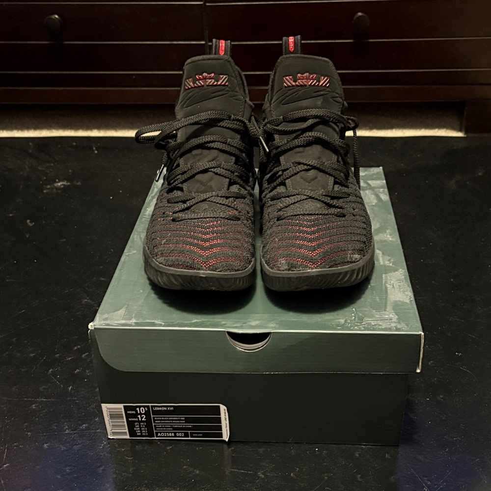 LeBron XVI